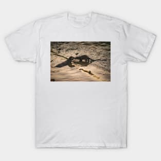 American River Otter T-Shirt